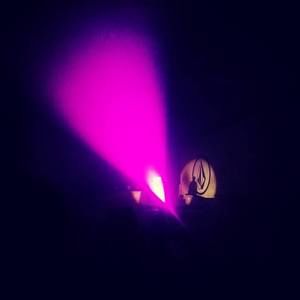 Meet your Posher, Robert